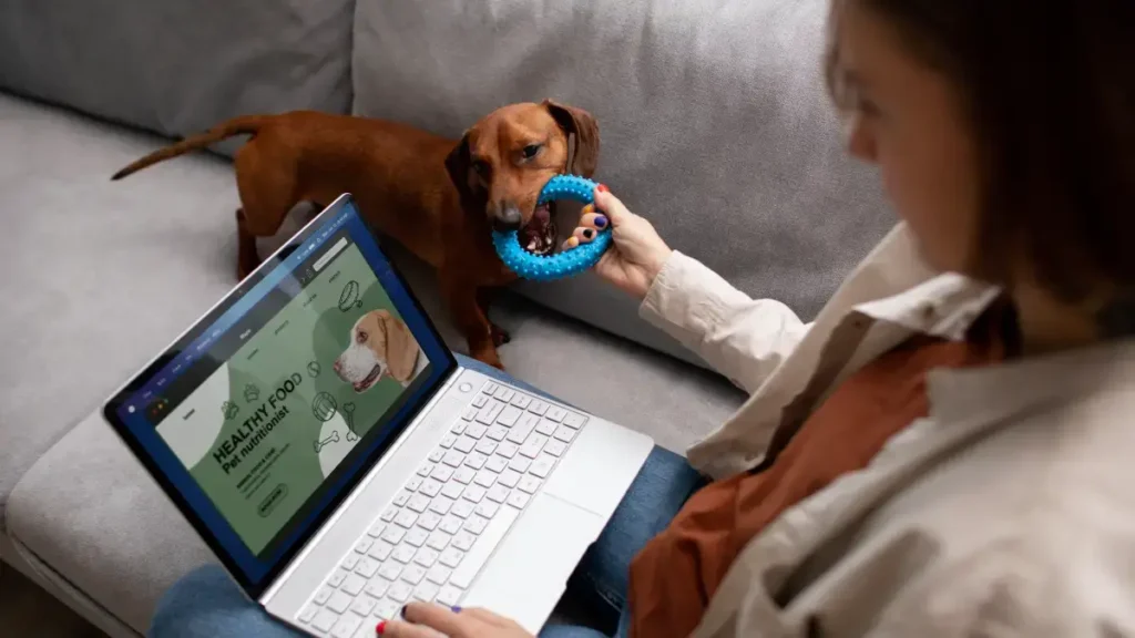 Como abrir um pet shop online